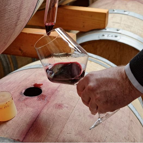 В следующем году в Украине проведут аудит винодельческой отрасли