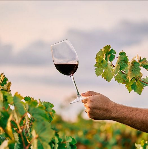 Украинские вина на юбилее OIV во Франции!