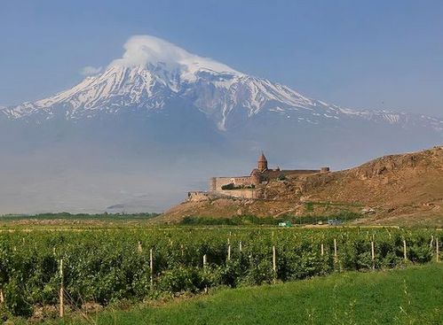 Виноробство у Вірменії