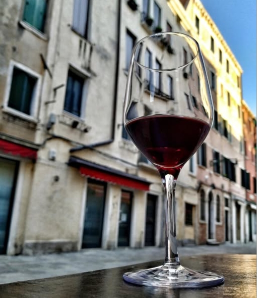 Вино стало мостом мира между Италией и Украиной