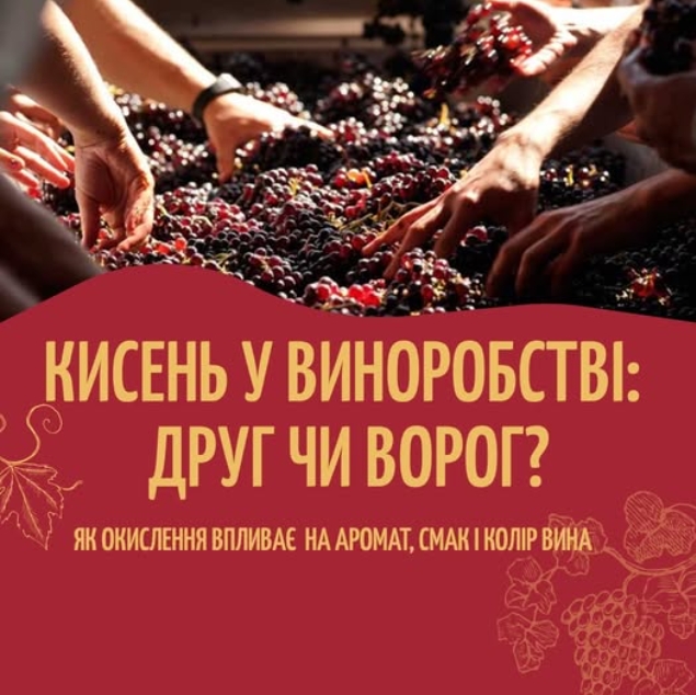 Кисень у виноробстві: друг чи ворог?