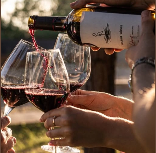 Итальянское вино переосмысливает стратегию после падения экспорта