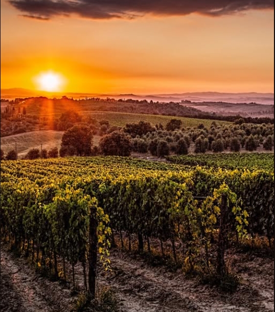 В Европе среди стран с самым дорогим вином – Исландия, Норвегия и Швейцария