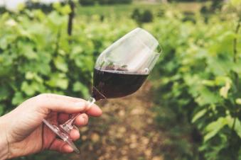 Как взаимодействуют вино и солнечный свет?