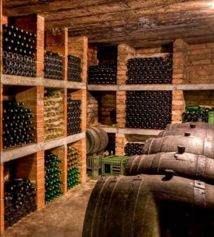 Як наука допомагає виноробам створювати краще вино?