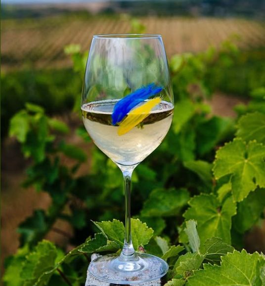 На Закарпатье прошел семинар о винном туризме