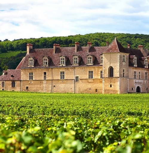 10 винных регионов Европы, которые следует посетить в 2025 году