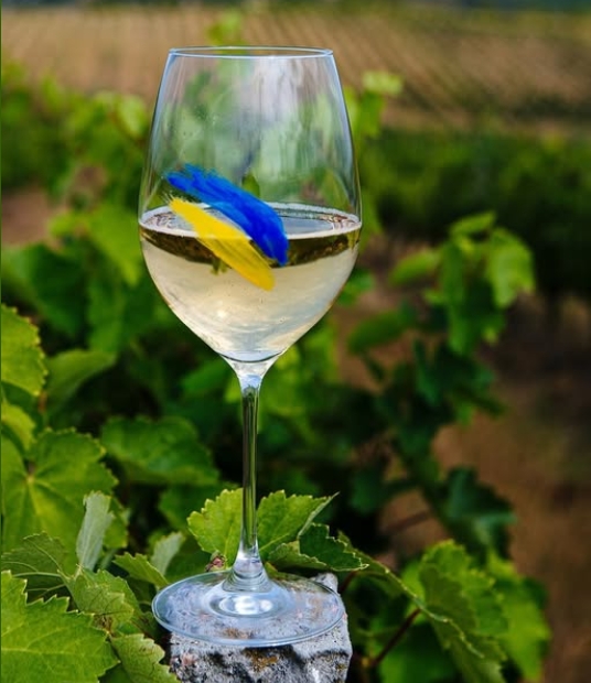 Вкус победы: украинские вина обошли мировых конкурентов