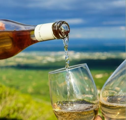 Вино Румынии – древняя культура, современные возможности