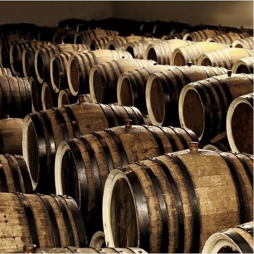 Camus Cognac объявил о строительстве винокурни Guqi в китайском Бочжоу