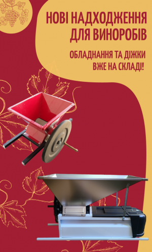 Новое поступление  июль 2025