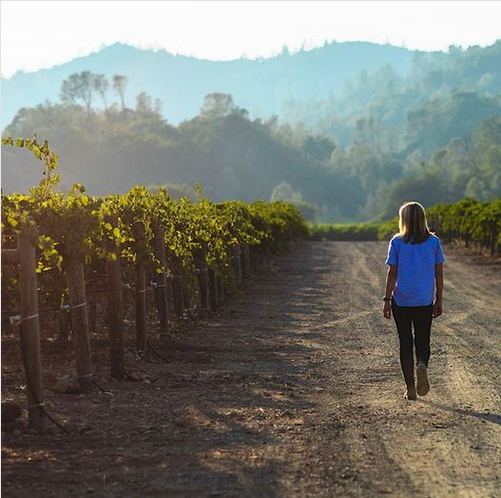 Инвестиционная компания Butterfly покупает Duckhorn Wine Company