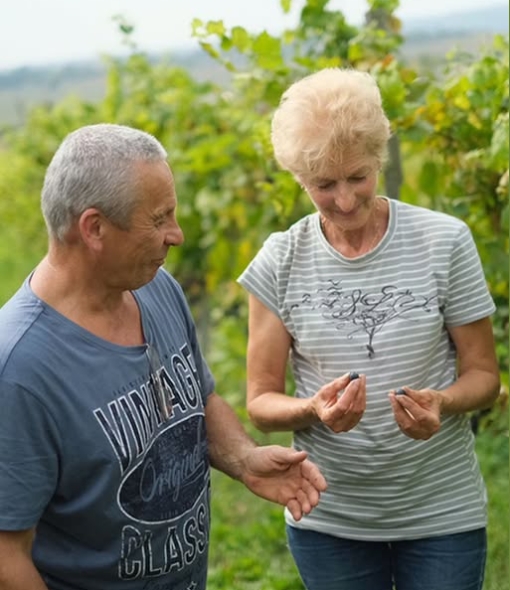 Крафтове вино з Тернопільщини: родинна справа, яка вийшла у світ
