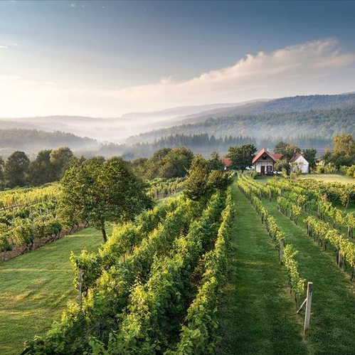 Цифровой атлас Австрийского виноделия