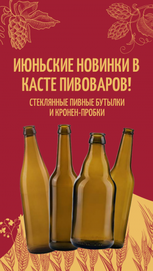 Новое поступление бутылка июнь 2025