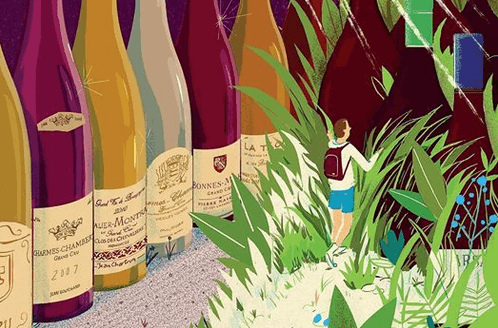 5 фактов о балийском виноделии