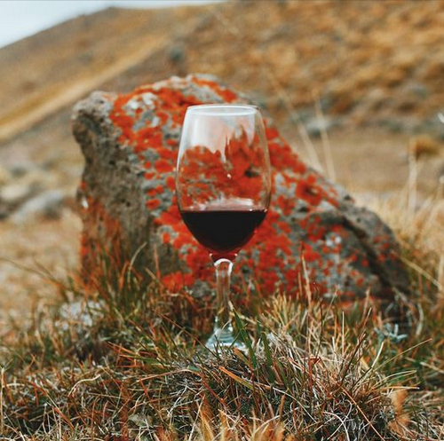 Испанский производитель игристых вин отправляет в неоплачиваемый отпуск почти 80% персонала