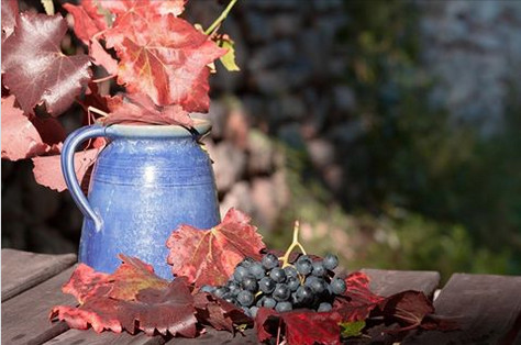 Как применение танинов и полисахаридов может улучшить вино перед розливом?