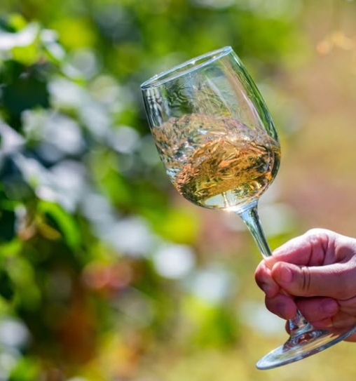 Німеччина для українського вина: шанс, що вартий уваги