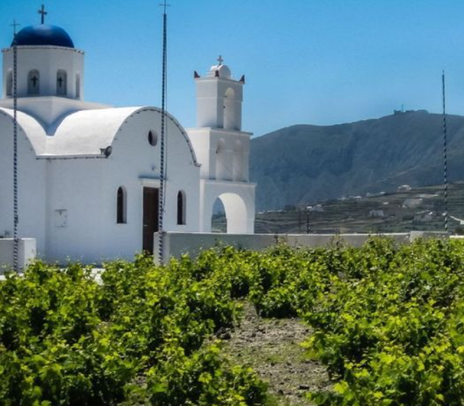 Туризм уничтожает виноградники Санторини