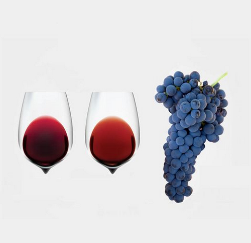 Все о Темпранильо: как выбрать хорошее испанское вино
