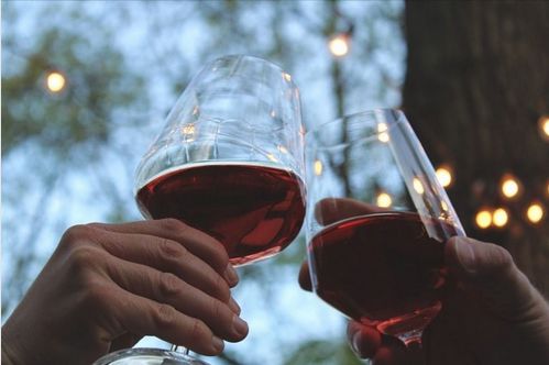 Цікаві факти про виноробство в Україні