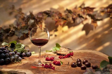 ТОП-5 самых старых виноградных лоз в мире