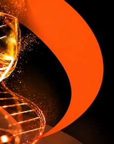 Spirito by Enartis -  технологические решения для дистиллерий