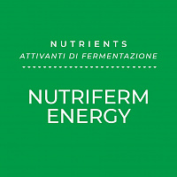 Дрожжевая подкормка NUTRIFERM ENERGY kg 10